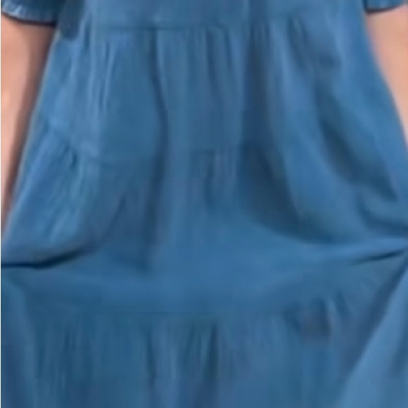 Pink Laura Blue Gauze like material modest dress. Size Medium - Picture 5 of 6